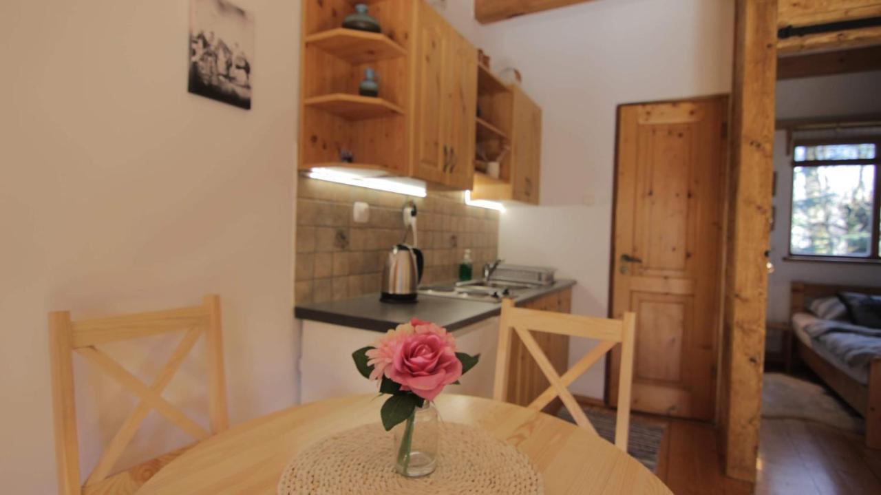 Apartamenty Pod Cisowka Закопане Экстерьер фото